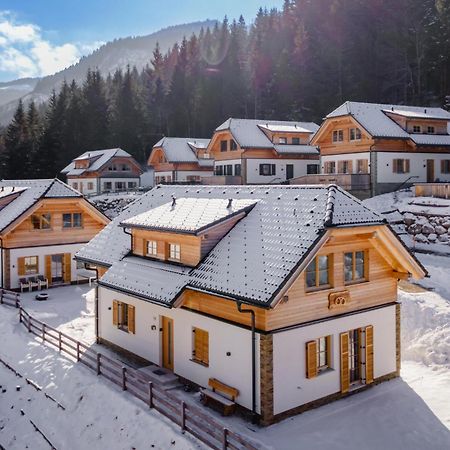 Chalet Pretzel Donnersbachwald Dış mekan fotoğraf